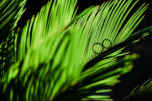 084